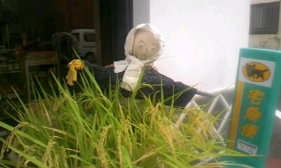080902_092735.JPG