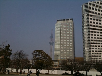 20110206.jpg