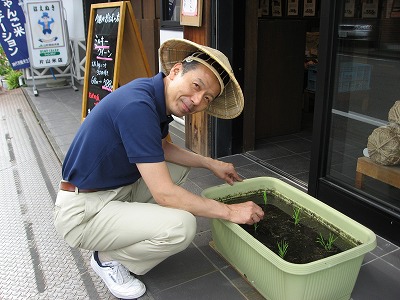 田植え