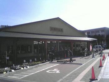 image.jpg