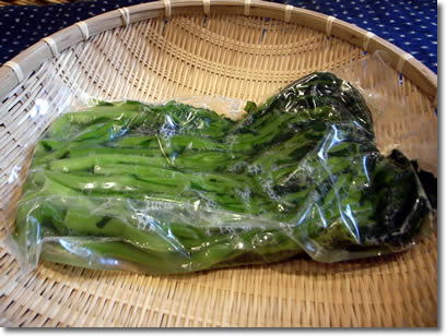 水かけ菜500ｇ